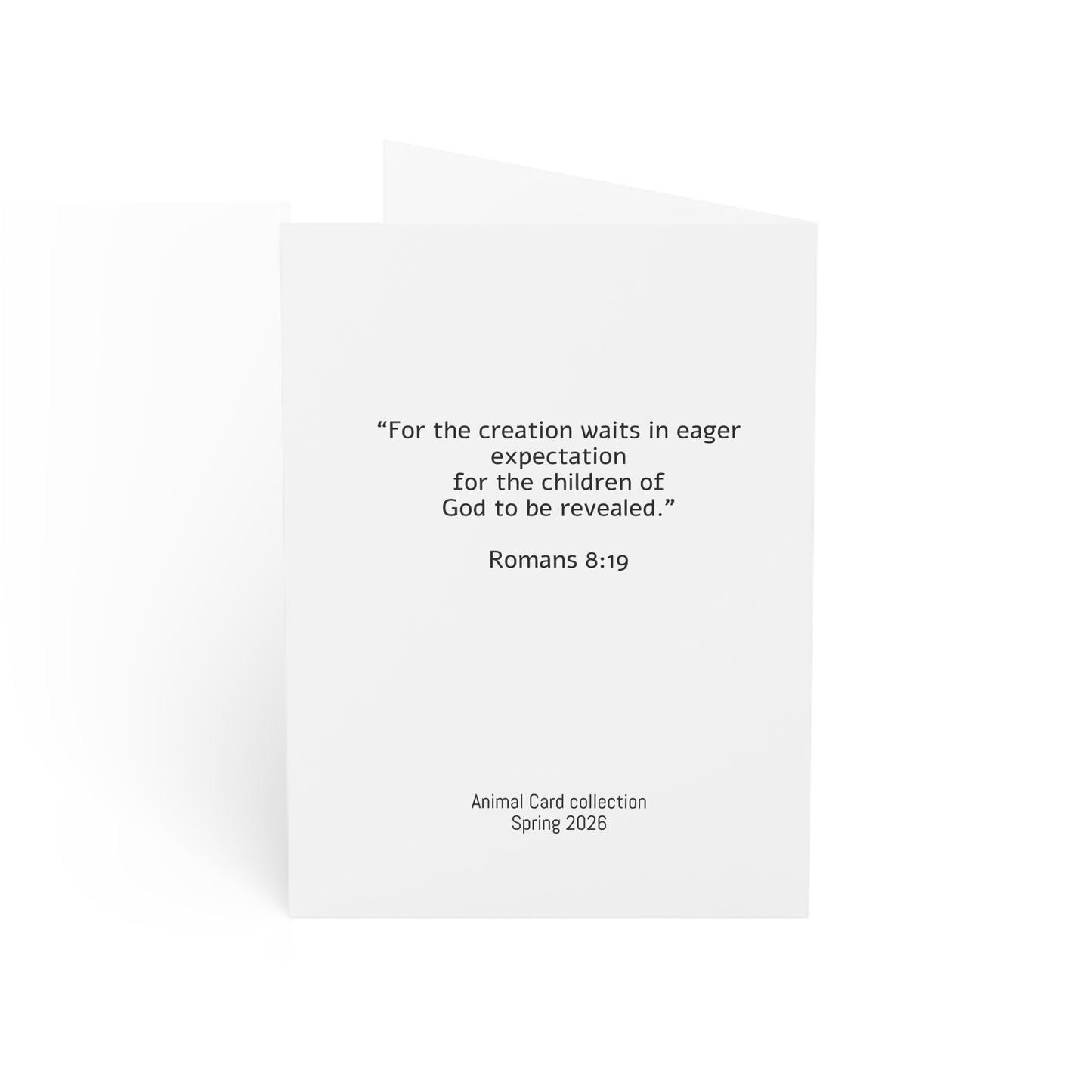 Matthew 6:26 Sparrow Scripture Greeting Cards